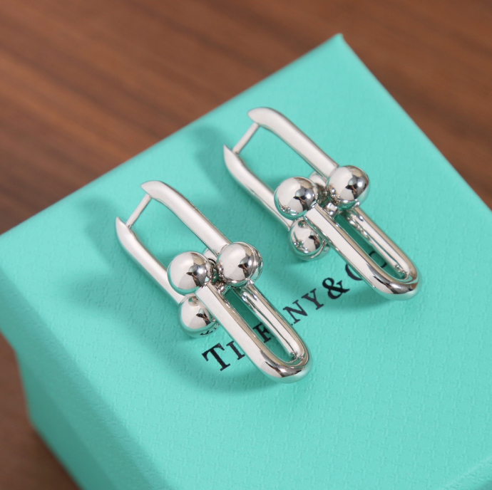 [moco jewelrys]TF HORSESHOE BUCKLE EARRINGS